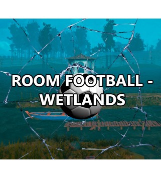 ROOM FOOTBALL: Wetlands Steam Key GLOBAL